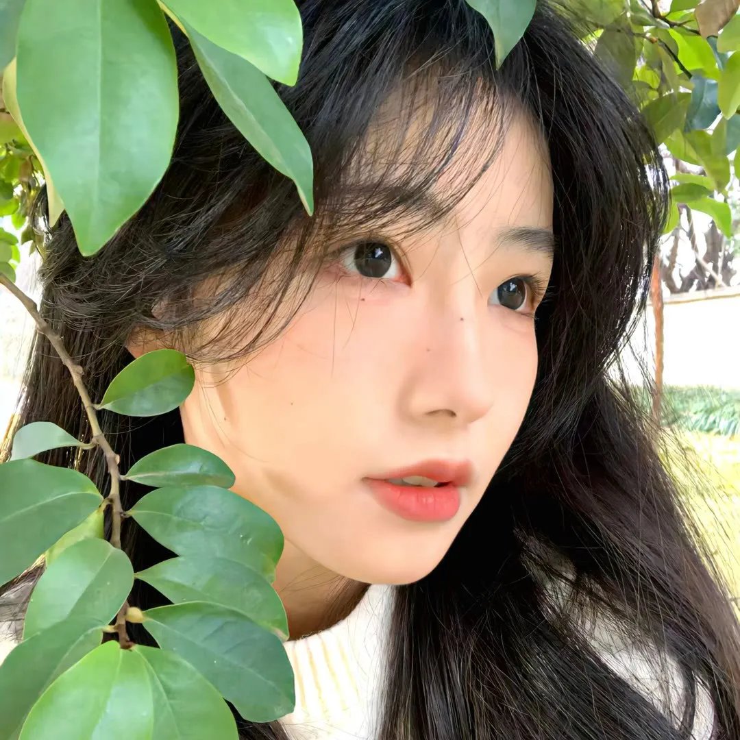 季节
